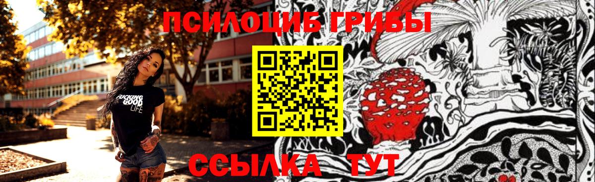 Галлюциногенные грибы Magic Shrooms Черногорск